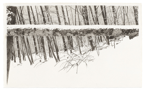 The Landscape: Lost and Found